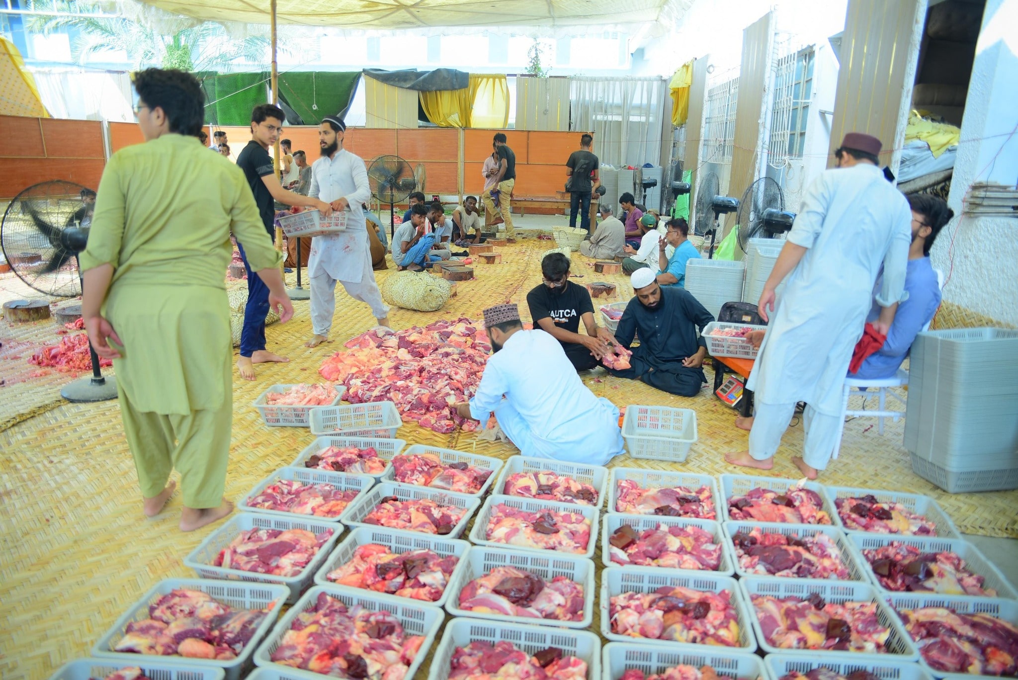 Qurbani-2025-Images (19)-min