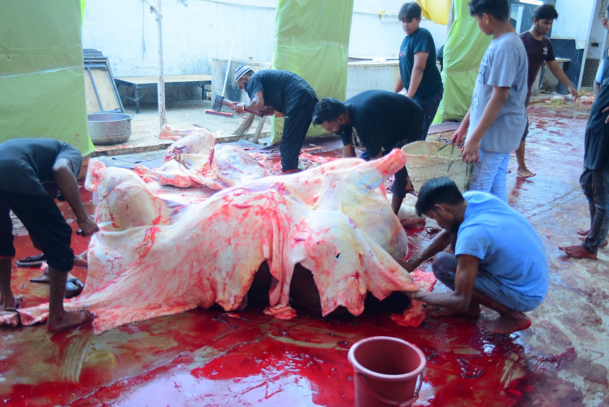 Qurbani-2025-Images (22)-min