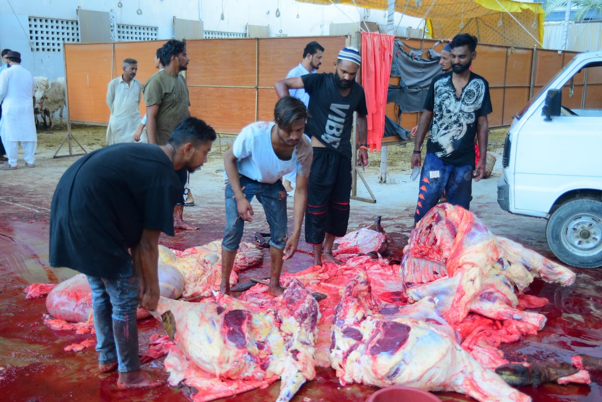 Qurbani-2025-Images (35)-min